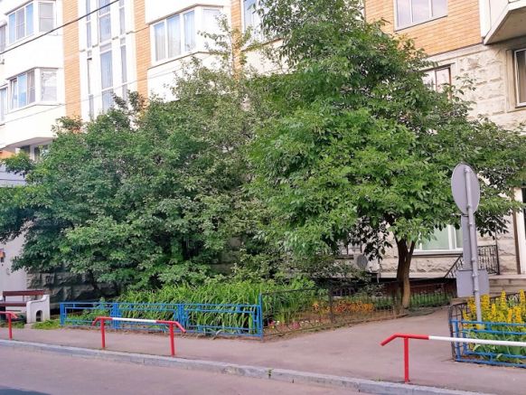 Хостел 365 по адресу Москва, ул. Болотниковская, д. 33, корп. 3