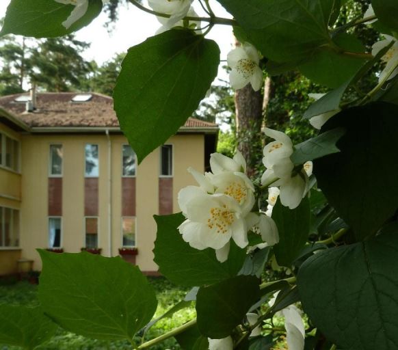 Гостевой дом На Королева по адресу Раменское, ул. Королева, д. 15а
