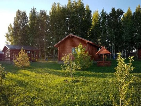 Турбаза Александрина по адресу Саратовская обл., Генеральское, ул. Бережная, д. 101