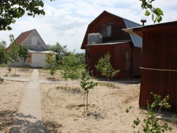 База отдыха Динамо по адресу Кировский
