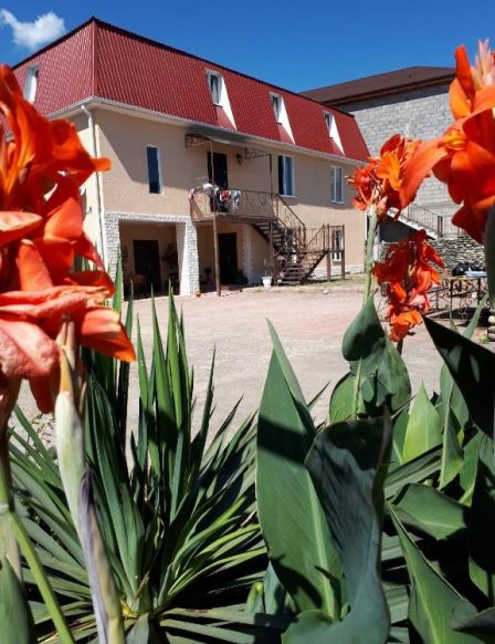 Guest House on Chanba 54 по адресу Гагра, Чанба54 дом