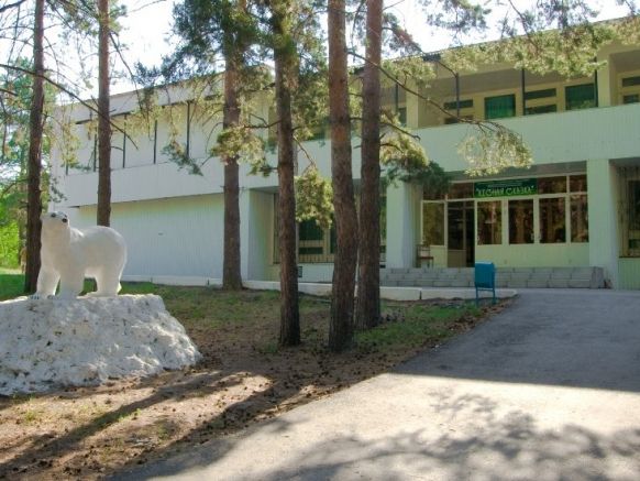База отдыха Лесная сказка по адресу Самарская обл., Кинельский р-он, с. Малая Малышевка