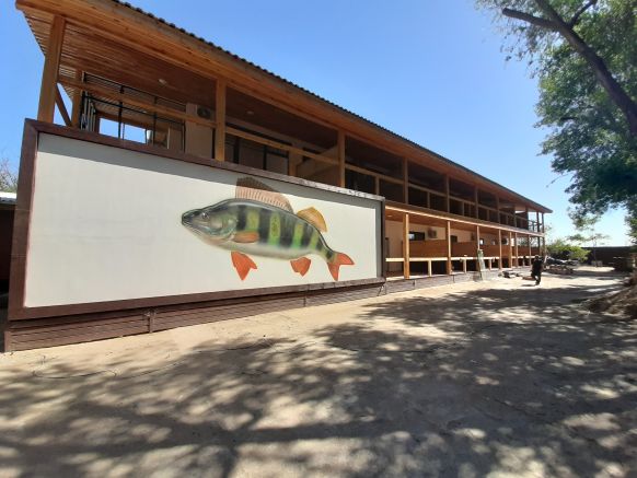 Рыболовная база Fish Sense по адресу Астраханская обл., Икрянинский р-н, с. Трудфронт, ул. Зелёная, д. 1