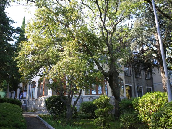 Гостевой дом Олива Парк по адресу Ялта, ул. Поликуровская, д. 25к8